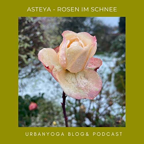 ASTEYA - Rosen und wie wir auch im Trüben unsere Kraft finden