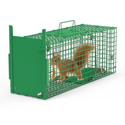 KOCASO 30C` 1hA Ă铮gbvP[W - 5|hȉ̏̂߂̐lIȓgbv XAETMAV}X L & ACO}ɍœK ܂肽ݎfUC vȈbLSAj}P[W