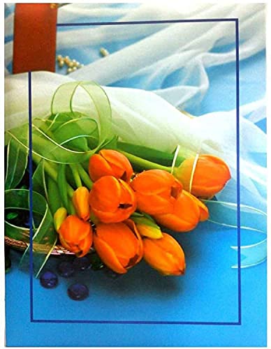 Image of Natraj Series Photo Album with Extra Clear PVC Film 200 Photos (Photo Size Supported: 4x6 Inches, Multicolour) (Design 2)