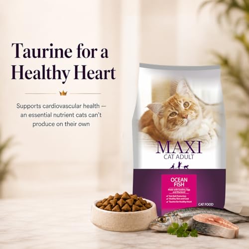 Image of Maxi Ocean Fish Dry Cat Food 1.2kg, Adult