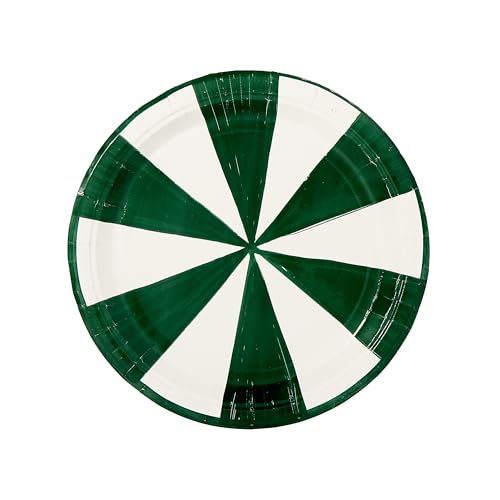 Positano Stripe Dinner Paper Plates – 10.5” Premium Disposable China Plates, Set of 8 – Elegant Coastal Stripe Design for Al Fresco Dining, Parties, Events, or Everyday Entertaining