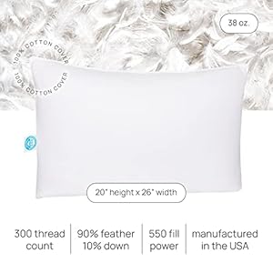 East Coast Bedding Pure Dream Firm Pillow - Standard Size 20x26 Inch Medium Support Goose Feather Down Pillows, 100% Cotton Shell, Standard Pillow Set of 2 East Coast Bedding Pure Dream Firm Pillow Standard Size 20×26 Inch Medium Support Goose Feather Down Pillows 100 Cotton Shell Standard Pillow Set of 2
