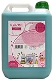Brand: Efluvios Efluvios Suavizante Ropa Profesional LOTO 5 Litros