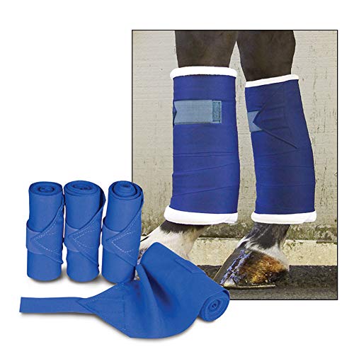 Toklat Standing Bandages - Blue - 6 X 12'