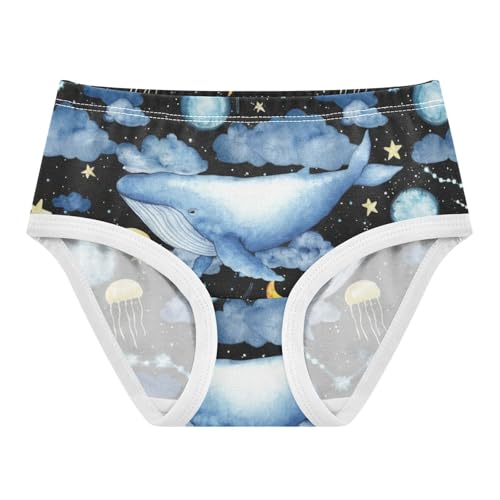 Girls Underwear Toddlers 2t Cotton Panties Little Girl Stylish Kids Briefs Undies Watercolor Blue Whales Night Clouds