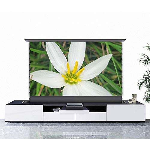 Pantalla motorizada eléctrica de 92 pulgadas 16:9 para proyector miniatura 4