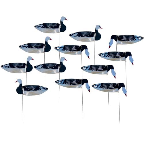 Avery GHG Pro-Grade Blue Goose Sock Decoys, 12-Pack | Durable Realistic Quick-Setup Hunting Windsock Decoy Set with Stable Ground Stakes, Resistant No-Glare Matte Bodies, 36