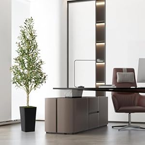 Artificial Olive Tree 6Ft - Large Tall Fake Plant with Realistic Aesthetic Design Faux Silk Floor Plants for Home Living Room Bedroom Office Patio Indoor and Outdoor Decor Artificial Olive Tree 6Ft Large Tall Fake Plant with Realistic Aesthetic Design Faux Silk Floor Plants for Home Living Room Bedroom Office Patio Indoor and Outdoor Decor
