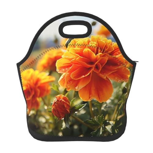 Marigold �t�����[ �H�̉� �����p �f�M�o�b�O �ė��p�\�� �R��h�~ �y�� �H�������o�b�O