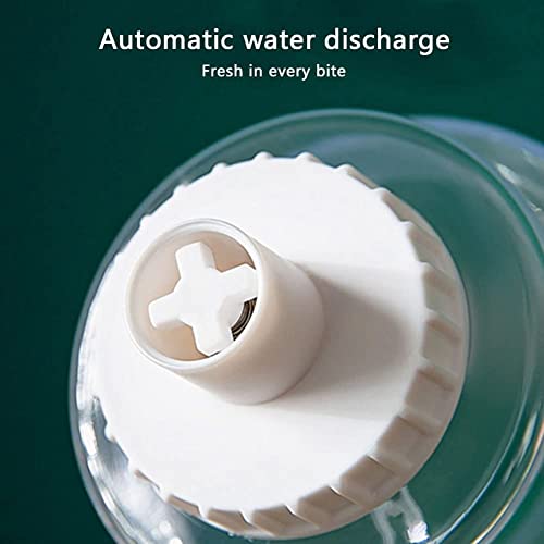 Distributeur d'eau cage automatique 1L pour garantir une hydratation continue