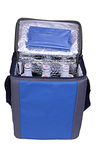 Image of BagsRUs Polyester 12 L Royal Blue Insulated Travel Cooler Bag with Ice Pack