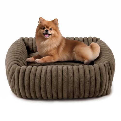 Image of FURTIME Dog Bed for Small Medium Dog, Washable Orthopedic Pet Bed with Removable Cover, Rectangle Soft Calming Sleeping Puppy Bed Durable Pet Cuddler with Anti-Slip Bottom, Coffee, M (25 inchx21 inchx7 inch)