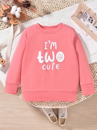 Toddler Girl 2nd Birthday Outfits Im Two Cute Sweatshirt 2 Year Old Birthday Girl Sweatshirt3