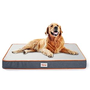 Toozey Cama para Perro Grandes/Medianos/Pequeños, Colchón Perro Ortopédico de Espuma Viscoelástica de Alta Densidad, Impermeable Cojín Perro con Funda Lavable Extraíble, L 89*56*7.6cm
