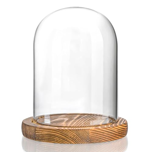 ZEERSHEE Cloche Glass Dome with Wooden Base 5.5 x 3.9 Display Case
