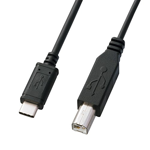 Sanwa Supply USB2.0 TypeC - B Cable 1m KU-CB10