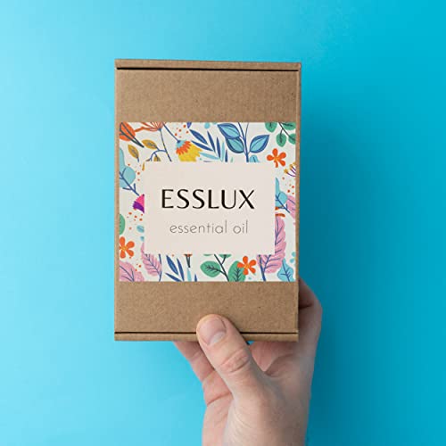 Image of Esslux Birch Essential Oil for Diffuser & DIY | 100% Pure Birch Oil for Massage, Aromatherapy, Candles & Soap Making | Crisp & Refreshing Scent, 60 ML