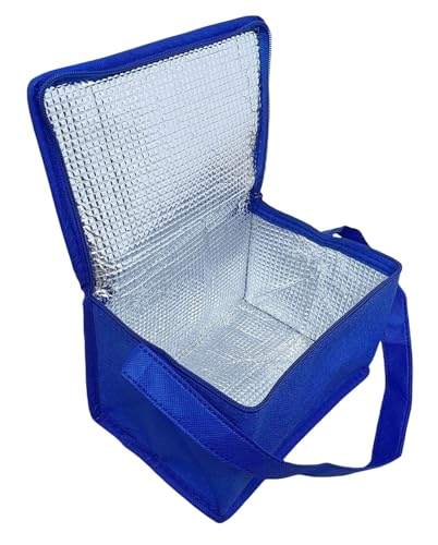 Shentian - Bolsa isotérmica para Almuerzo, Bolsas térmicas y Cajas (Azul Bolsas isotérmicas)