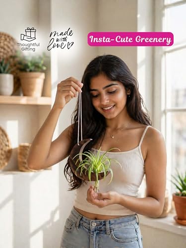 Image of Hanging Moon Planter with Wooden Holder & Rope | Test Tube Design, Indoor Stand, Home Decor, Living Room & Balcony, Office Decoration