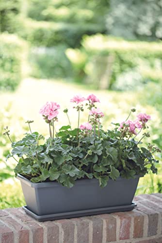 Elho Barcelona Trough Saucer Sottovaso, Nero, 70