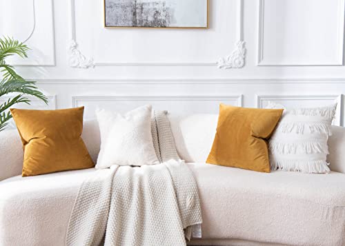 Image of JUSPURBET 22x22 Decorative Throw Pillow Covers Set of 2,Mustard Yellow | Modern Soft Velvet Cushion Covers Cases with Hidden Zipper for Couch Sofa Bed Living Room Bedroom Home Decor