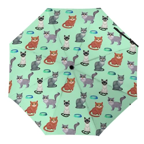 Parapluie pliant crâne de pirate automatique compact de voyage mixte