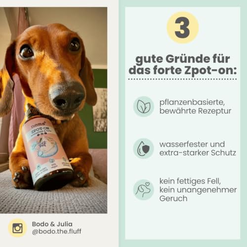 Noms+ Zpot-on wasserfestes Zeckenmittel für Hunde Jahresvorrat | Spot On mit pflanzenbasierten Wirkstoffen & DMSO | gegen Zecken, Milben, Flöhe, Sandmücken