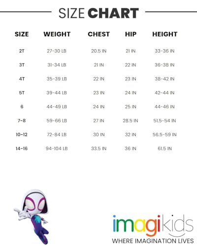 Marvel Spidey and His Amazing Friends Birthday T-Shirt Toddler to Big Kid Sizes (2T - 10-12)