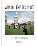 Why You Like This Photo: The science of perception (Tesis/Ensayo)