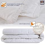 CASATEX B079FYW77C lato 3