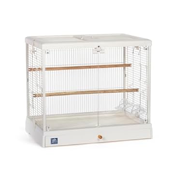 acrylic bird cages pros and cons