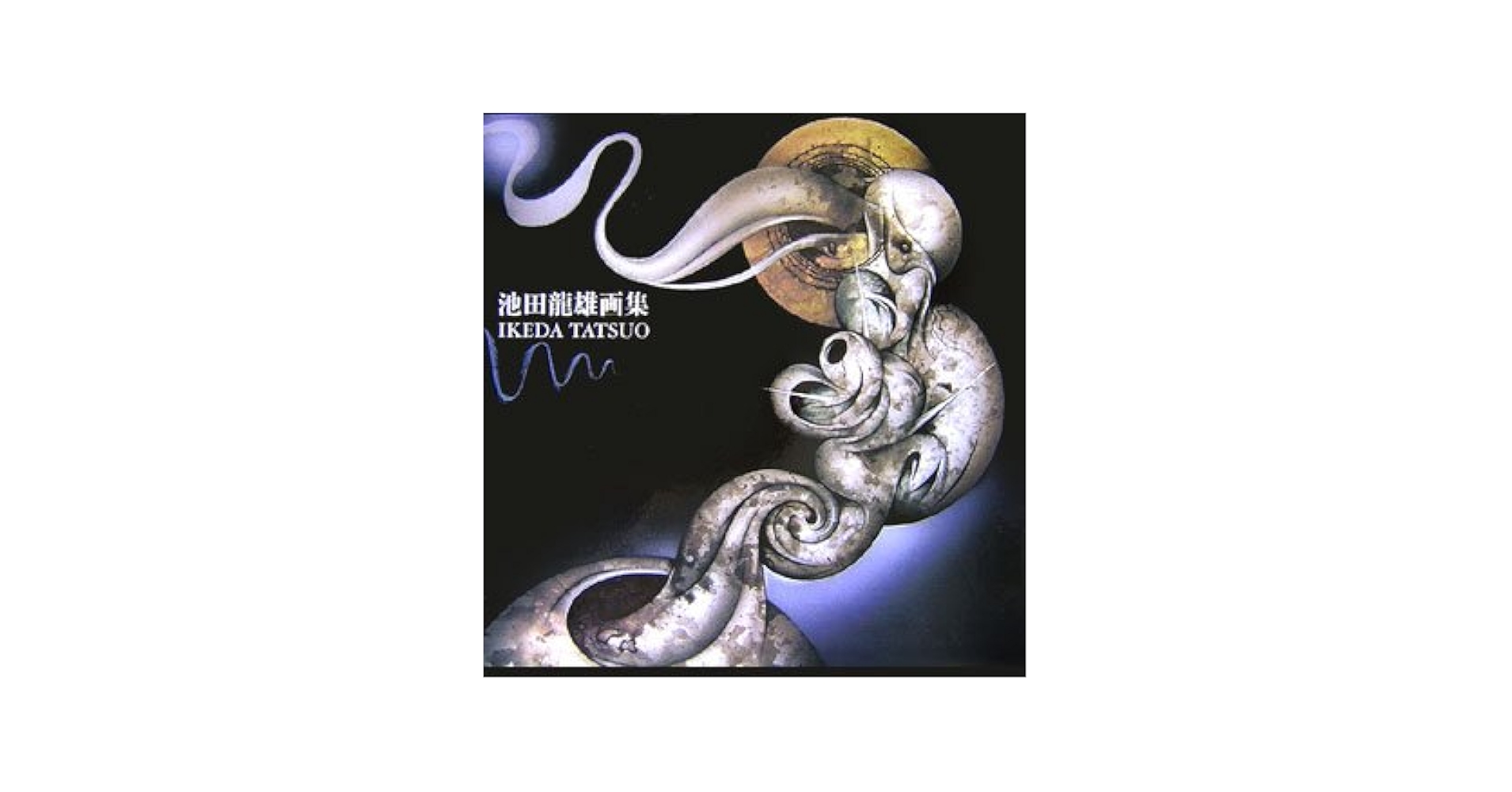 池田龍雄画集 池田龍雄画集 The Works of Tatsuo Ikeda 1947-2005(瀧口修造
