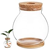 POPETPOP Desktop Glass Fish Bowl - Round Small Fish Tank with Wood Stopper & Bamboo Mat, Clear Glass Betta Fish Bowl for Succulent Plants, Hydroponic Air Plant (5.1X5.5 in)