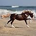 Breyer Horses Traditional Series | Surfer’s Riptide Chincoteague Pony | Horse Figurine | 11.5