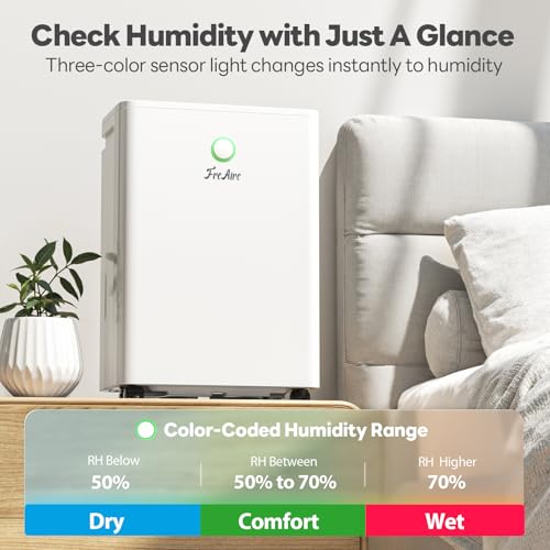 Commercial Grade Dehumidifier for Basements