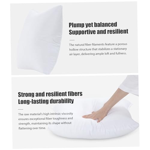Lot de 2 coussins en polyester doux coton PP carré de luxe 16cm