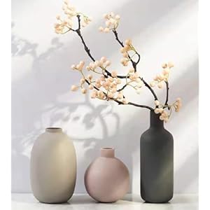 Ceramic Flowers Vase Set of 3, Modern Decorative Flower Vase for Rustic Home Decor, Modern Farmhouse Decor, Living Room Decor, Shelf Decor, and Entryway Décor