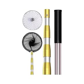 観察セット Amazon.co.jp: 生態・採集 - 科学・サイエンス: おもちゃ