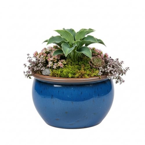 teramico Bavaria Bleu Pot de Fleurs en céramique émaillée Bleu résistant au Gel dans différentes Tailles teramico Bavaria Bleu Pot de Fleurs en céramique émaillée Bleu résistant au Gel dans différentes Tailles