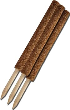 Gardener Kks080 Coco Ivy Stick - 80 Cm