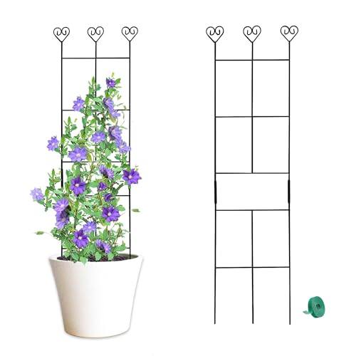 2 Pack 30'' Plant Trellis for Climbing Plants Indoors,...