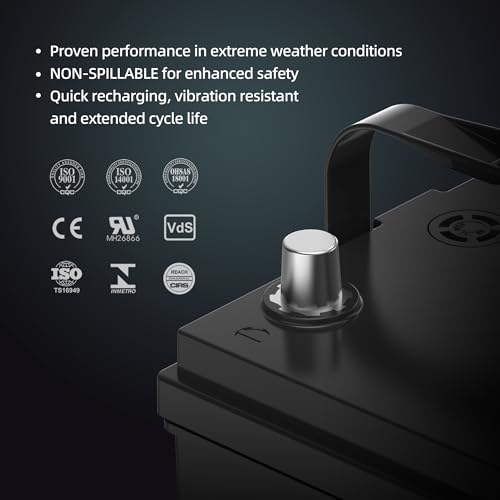 UPLUS Group 35 AGM Battery