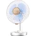 Lingyun Ventilador Eléctrico/Ventilador De Mesa, Ventilador Eléctrico Tailandés, Ventilador De Mesa Silencioso (12 Pulgadas)