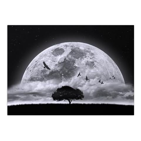 Displate World Class Photos Metal Poster Fantasy Poster Fantasy Wall Art Fantasy Posters Fantasy Wall Decor Landscape Poster Fantasy Photography - Full Moon Poster 17.7" x 12.6" Cover