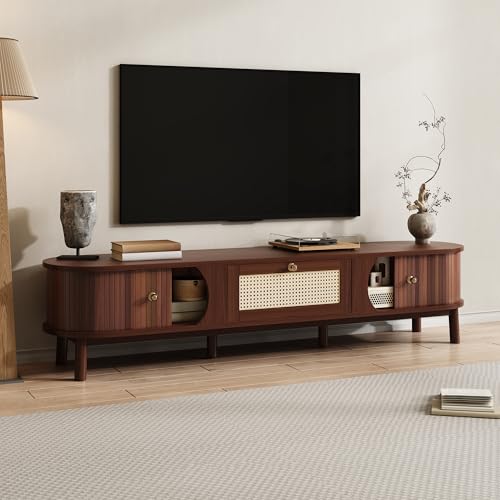 BTM TV-Schrank – Fernsehschrank mit Türen aus Naturholz und...