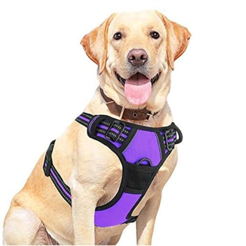 TVTQEEIB Arnés para Perro, Arnes Perro Antitirones con Cinta Reflectante, Cómodo Transpirable Arnés de Apoyo Multiusos para Perro Ejercer Correr,G-M
