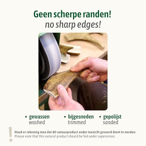 ChronoBalance® XL Kaustange für Hunde ganze Stücke als Kauspielzeug: 100% Hirschgeweih für Hunde, Hundespielzeug, Leckerli Zahnpflege, Kausnack, Geweih Kauknochen, Natürlich ohne Zusätze (1er Set)
