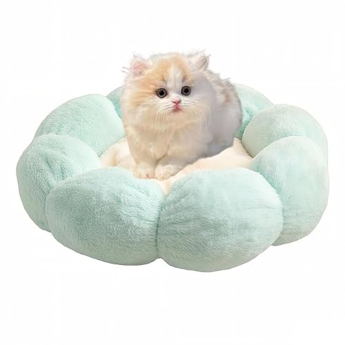 Lifetips ~kGbgL ~kG ӂӂybgxbh Lp 􂦂 ~ ~p NbV ʔNΉ ې􂢉 Lpxbh ~p ~ߒ 􂦂Jo[ ᔽNbV iACXO[j