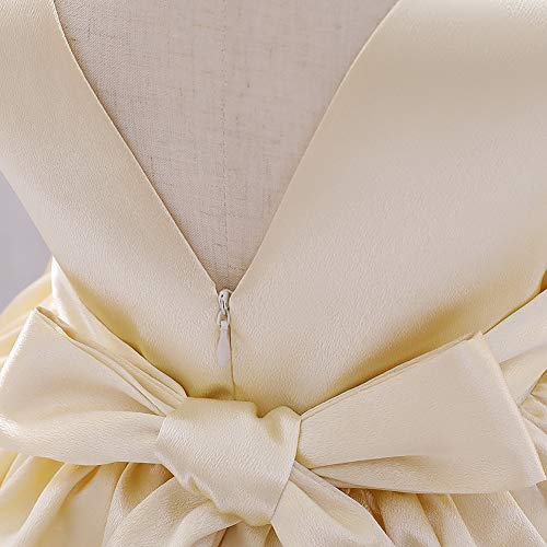 Flower Toddler Baby Girls Dress Formal Bowknot Tutu Backless Ruffle Puffy Tulle Gowns Princess Wedding Communion Christening Baptism Pageant Birthday Lace Party Wear Summer Suit Champagne 3-4T #TOP3