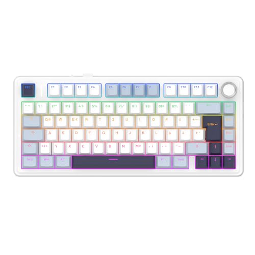 EPOMAKER x Aula F75-ISO Mechanische Tastatur Kabellos, Hot Swap Gaming-Tastatur 75% Prozent, Deutsches Layout QWERTZ, BT/Wireless/USB-C, Knopf& RGB (Light Blue, LEOBOG Reaper Schalter) 1